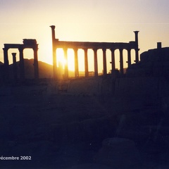 Palmyre et Krak des Chevaliers (Syrie) - Décembre 2002