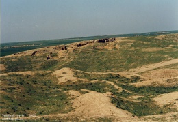 Fouilles archéologiques sur le site de Tell Brak 
