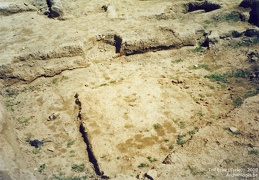 Fouilles archéologiques sur le site de Tell Brak 