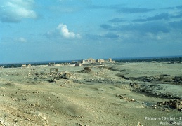 Palmyre (Syrie) | Palmyra (Syria) | 1993
