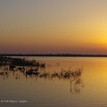 Lever de soleil face au Tell Dibgou